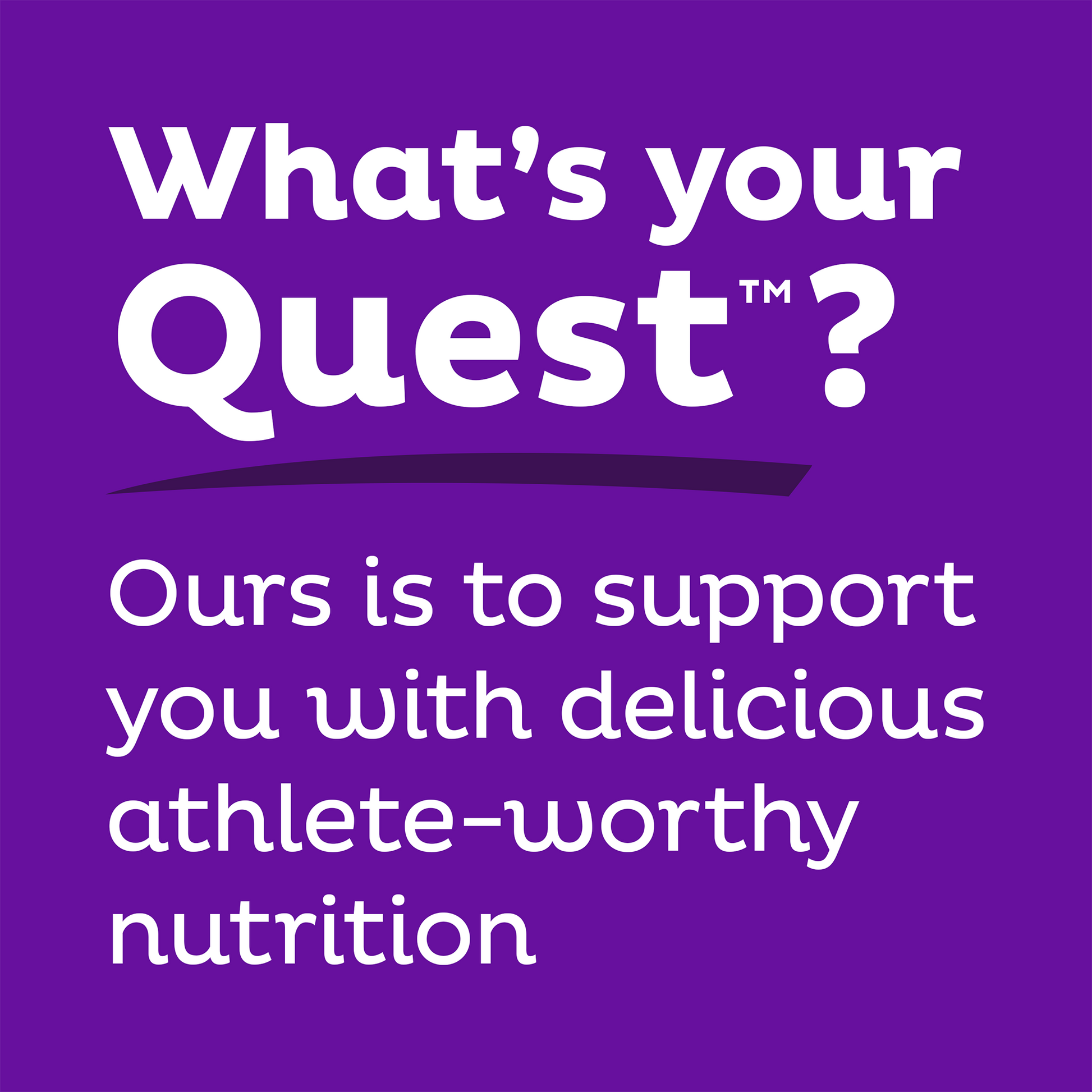 double-chocolate-chunk-protein-bars-q2 qst-000241_double-chocolate-chunk-protein-bars_9.png